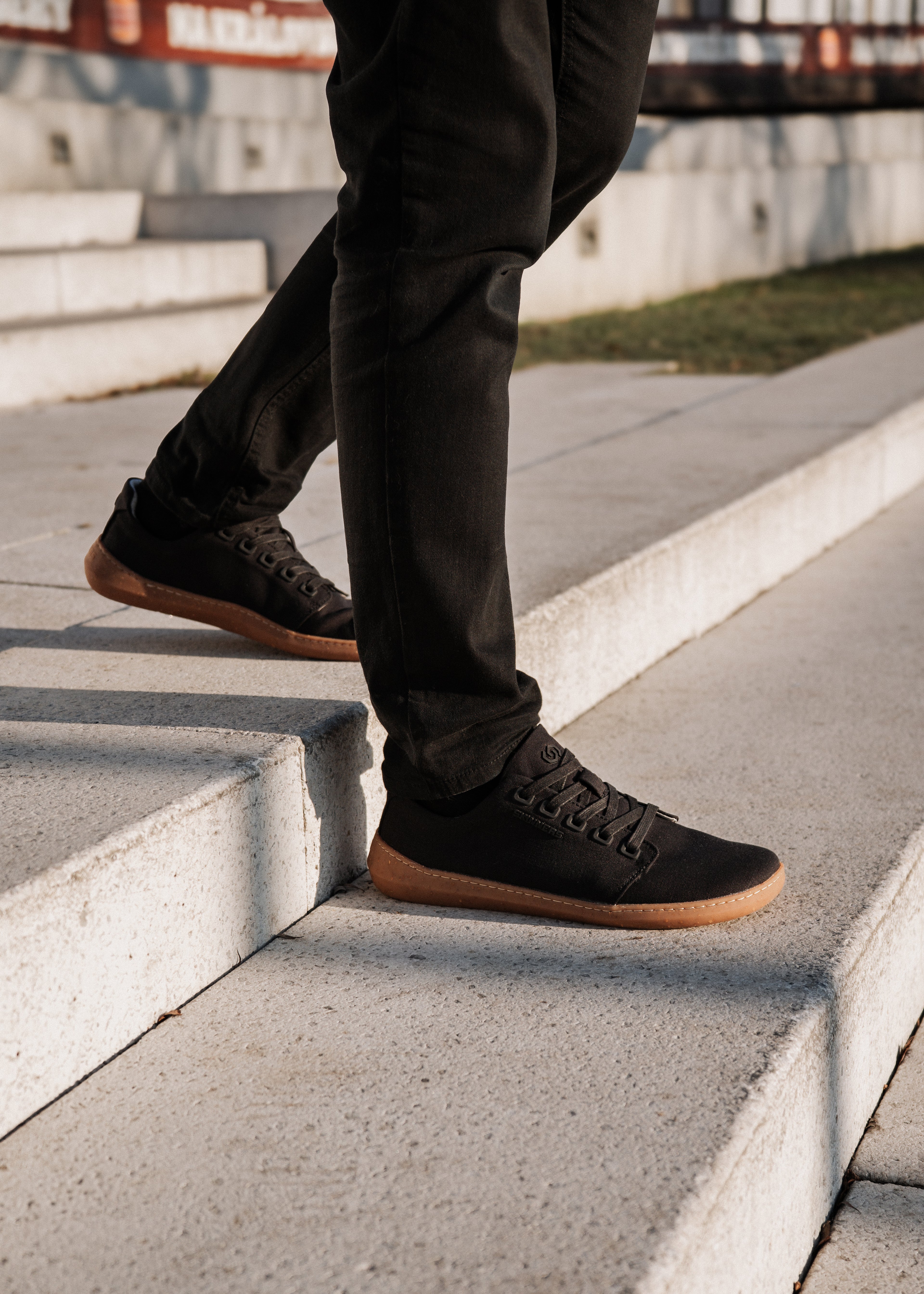 Wanderer - True Black